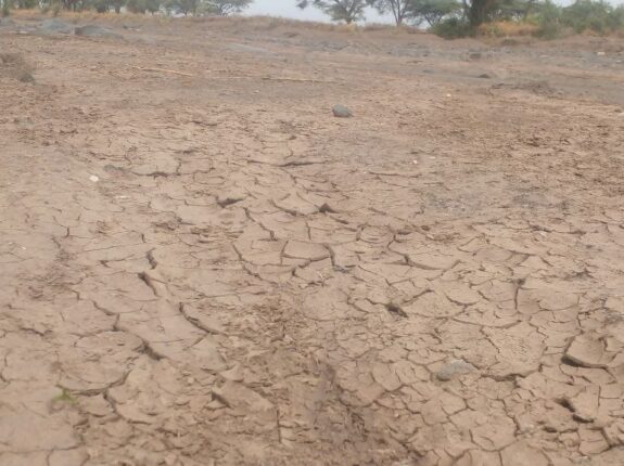 Drought Emergency in Ethiopia: Alliance2015 responds to alleviate severe crisis in the Horn of Africa.